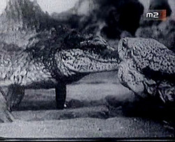 Az éjszaka képei (1966)